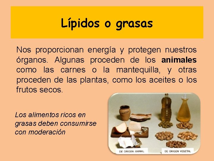 Lípidos o grasas Nos proporcionan energía y protegen nuestros órganos. Algunas proceden de los