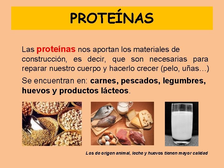 PROTEÍNAS Las proteínas nos aportan los materiales de construcción, es decir, que son necesarias