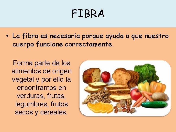 FIBRA • La fibra es necesaria porque ayuda a que nuestro cuerpo funcione correctamente.