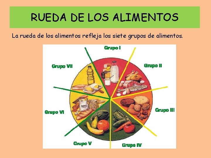 RUEDA DE LOS ALIMENTOS La rueda de los alimentos refleja los siete grupos de