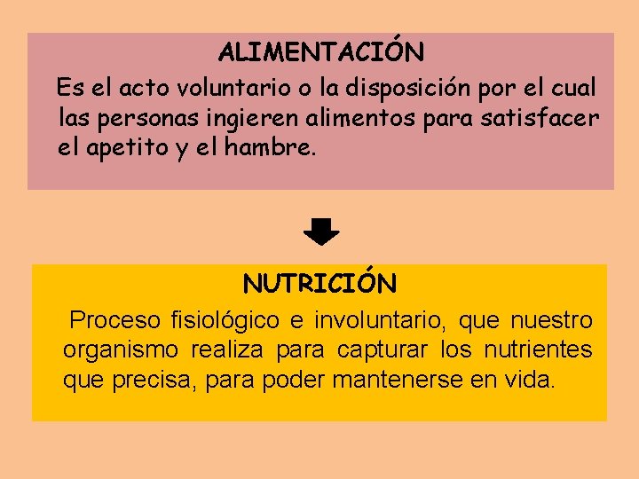 ALIMENTACIÓN Es el acto voluntario o la disposición por el cual las personas ingieren