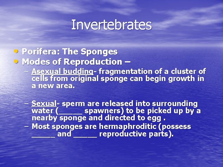 Invertebrates • Porifera: The Sponges • Modes of Reproduction – – Asexual budding- fragmentation