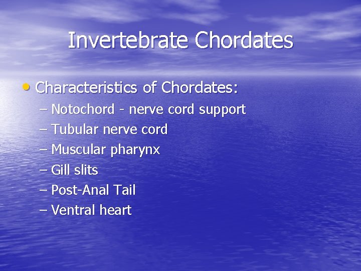 Invertebrate Chordates • Characteristics of Chordates: – Notochord - nerve cord support – Tubular