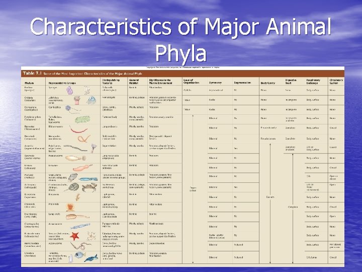 Characteristics of Major Animal Phyla 