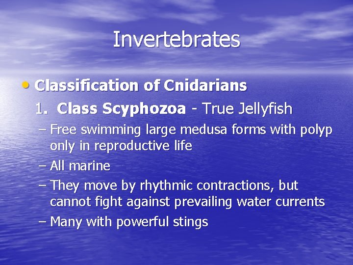 Invertebrates • Classification of Cnidarians 1. Class Scyphozoa - True Jellyfish – Free swimming