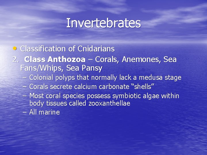 Invertebrates • Classification of Cnidarians 2. Class Anthozoa – Corals, Anemones, Sea Fans/Whips, Sea