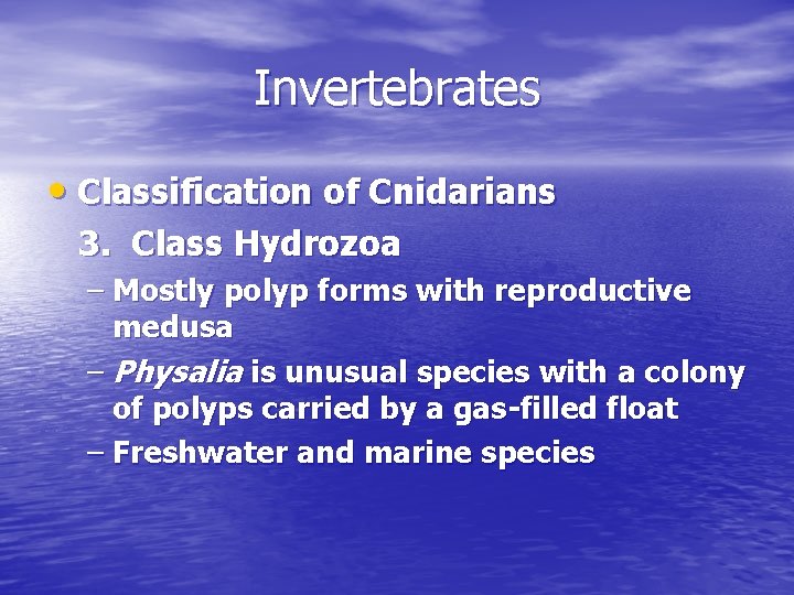 Invertebrates • Classification of Cnidarians 3. Class Hydrozoa – Mostly polyp forms with reproductive