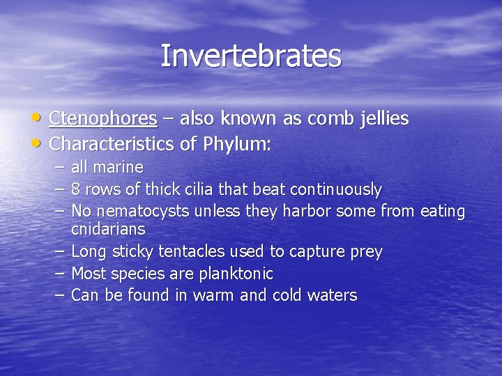 Invertebrates • Ctenophores – also known as comb jellies • Characteristics of Phylum: –