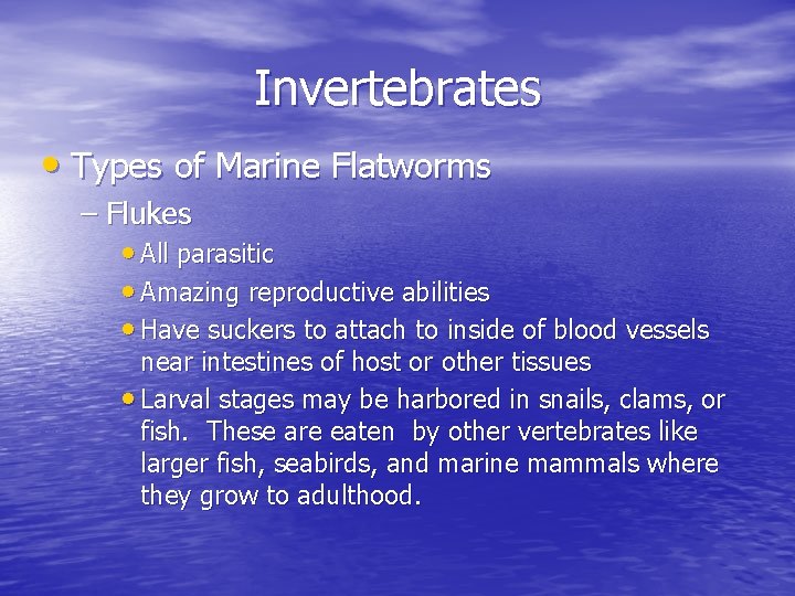 Invertebrates • Types of Marine Flatworms – Flukes • All parasitic • Amazing reproductive