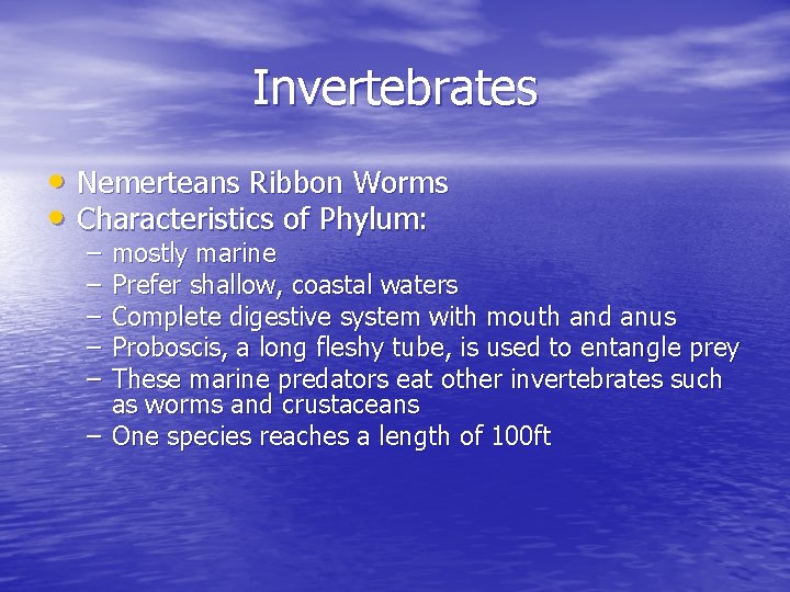 Invertebrates • Nemerteans Ribbon Worms • Characteristics of Phylum: – – – mostly marine