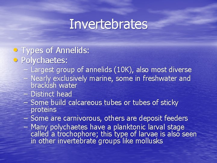 Invertebrates • Types of Annelids: • Polychaetes: – Largest group of annelids (10 K),