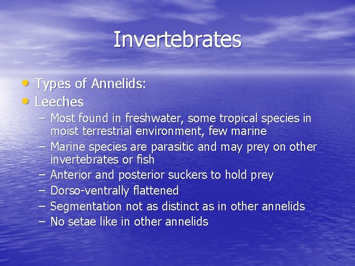 Invertebrates • Types of Annelids: • Leeches – Most found in freshwater, some tropical