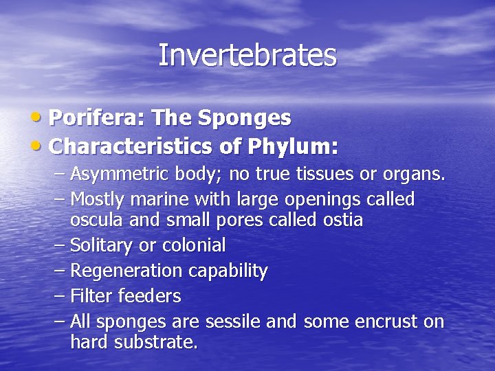 Chapter 7 Marine Animals Without a Backbone Invertebrates