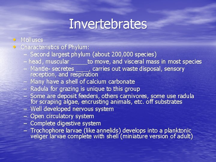 Invertebrates • • Molluscs Characteristics of Phylum: – Second largest phylum (about 200, 000