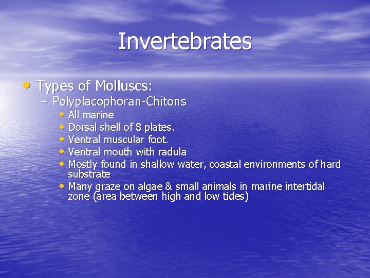 Invertebrates • Types of Molluscs: – Polyplacophoran-Chitons • All marine • Dorsal shell of