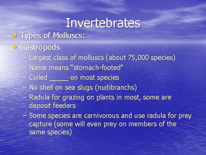 Invertebrates • Types of Molluscs: • Gastropods – – – Largest class of molluscs