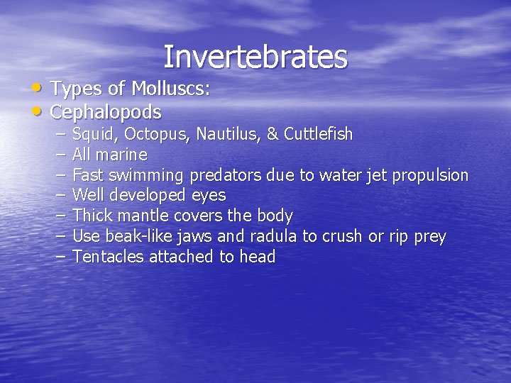 Invertebrates • Types of Molluscs: • Cephalopods – – – – Squid, Octopus, Nautilus,