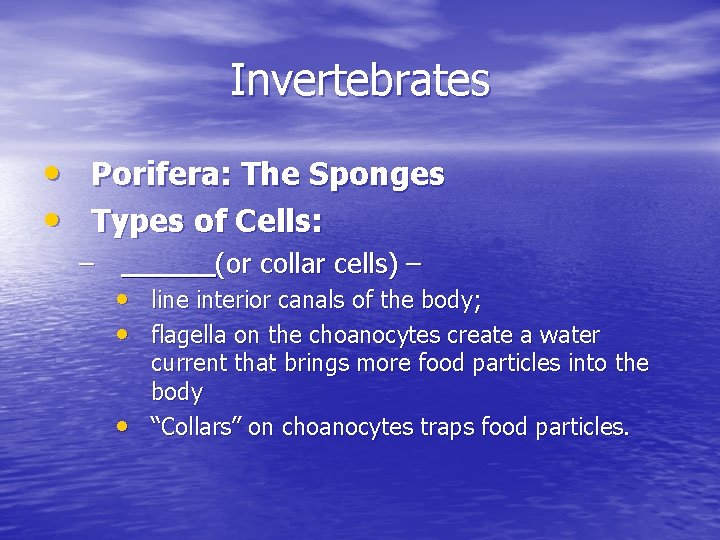 Invertebrates • Porifera: The Sponges • Types of Cells: – _____ (or collar cells)