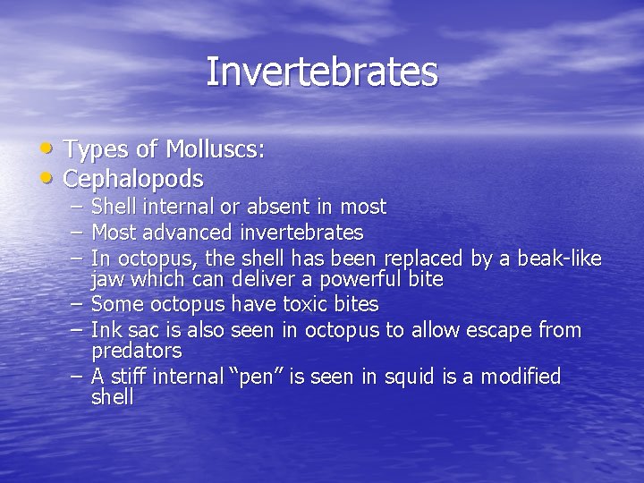 Invertebrates • Types of Molluscs: • Cephalopods – – – Shell internal or absent