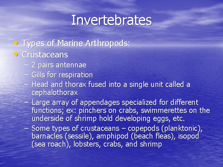 Invertebrates • Types of Marine Arthropods: • Crustaceans – 2 pairs antennae – Gills