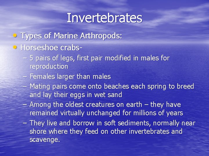 Invertebrates • Types of Marine Arthropods: • Horseshoe crabs– 5 pairs of legs, first