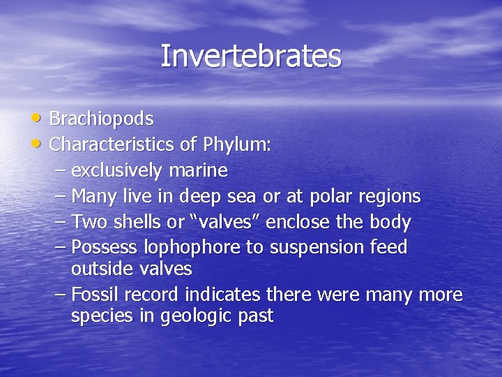 Invertebrates • Brachiopods • Characteristics of Phylum: – exclusively marine – Many live in