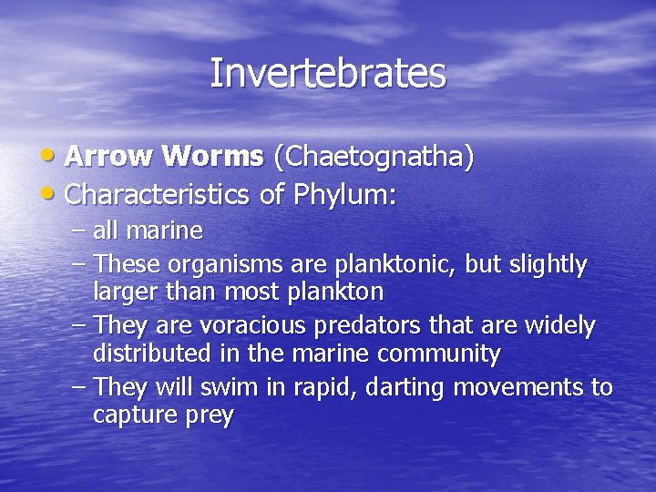 Invertebrates • Arrow Worms (Chaetognatha) • Characteristics of Phylum: – all marine – These