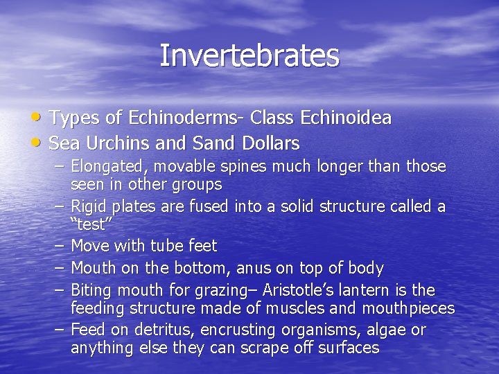 Invertebrates • Types of Echinoderms- Class Echinoidea • Sea Urchins and Sand Dollars –