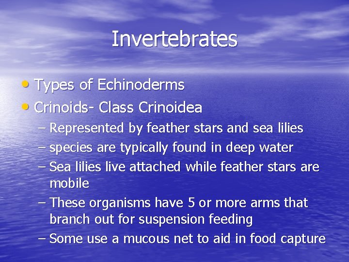 Invertebrates • Types of Echinoderms • Crinoids- Class Crinoidea – Represented by feather stars