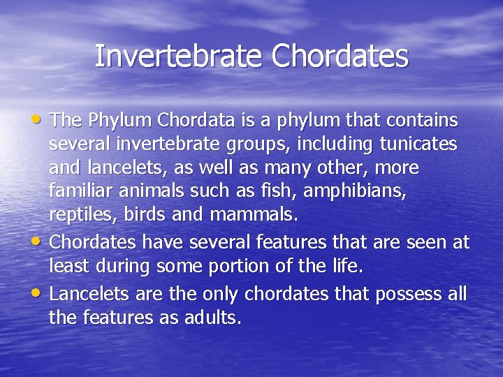 Invertebrate Chordates • The Phylum Chordata is a phylum that contains • • several