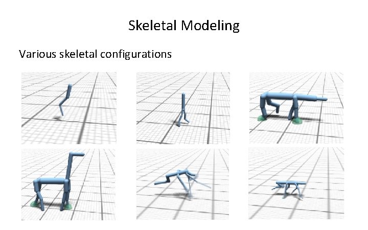 Skeletal Modeling Various skeletal configurations 