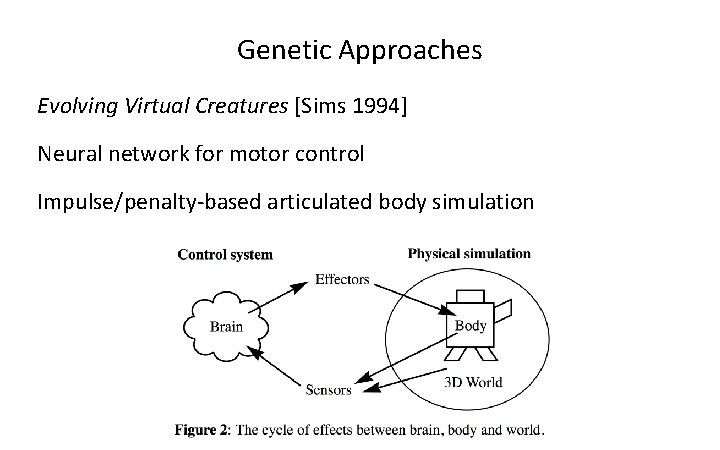 Genetic Approaches Evolving Virtual Creatures [Sims 1994] Neural network for motor control Impulse/penalty-based articulated