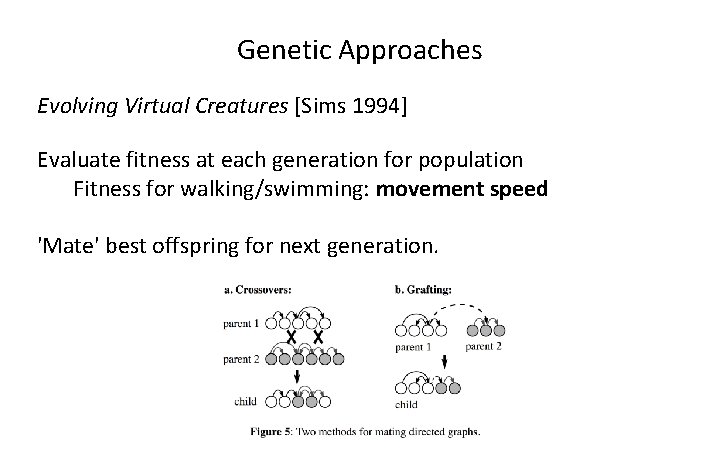 Genetic Approaches Evolving Virtual Creatures [Sims 1994] Evaluate fitness at each generation for population