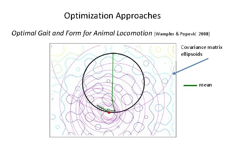 Optimization Approaches Optimal Gait and Form for Animal Locomotion [Wampler & Popovic 2008] Covariance