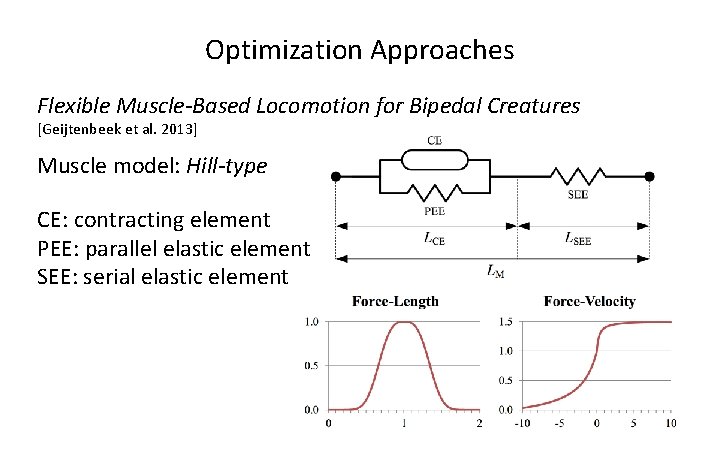 Optimization Approaches Flexible Muscle-Based Locomotion for Bipedal Creatures [Geijtenbeek et al. 2013] Muscle model: