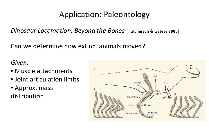 Application: Paleontology Dinosaur Locomotion: Beyond the Bones [Hutchinson & Gatesy 2006] Can we determine