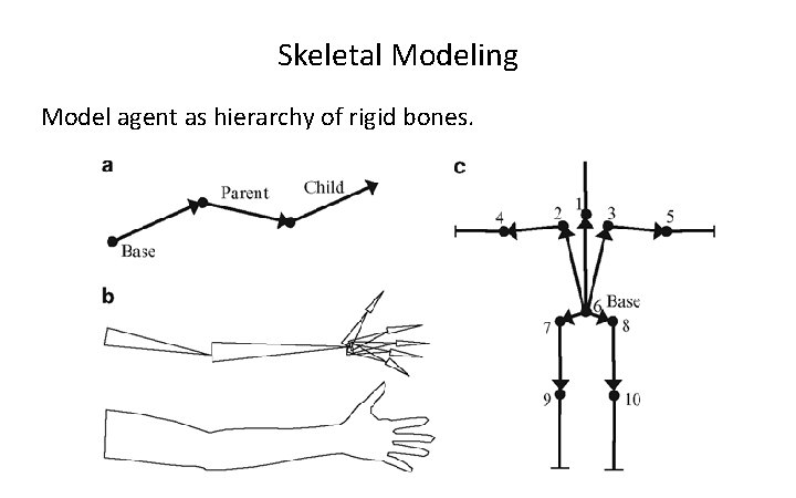 Skeletal Modeling Model agent as hierarchy of rigid bones. 