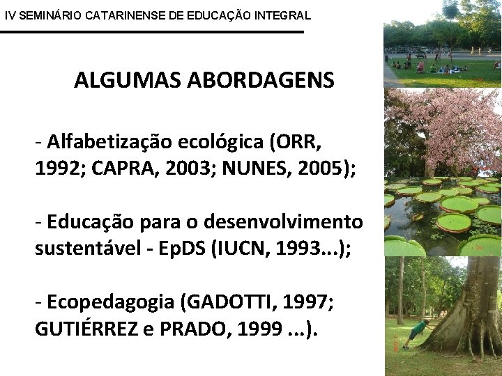IV SEMINÁRIO CATARINENSE DE EDUCAÇÃO INTEGRAL ALGUMAS ABORDAGENS - Alfabetização ecológica (ORR, 1992; CAPRA,