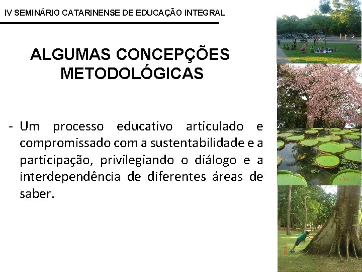 IV SEMINÁRIO CATARINENSE DE EDUCAÇÃO INTEGRAL ALGUMAS CONCEPÇÕES METODOLÓGICAS - Um processo educativo articulado