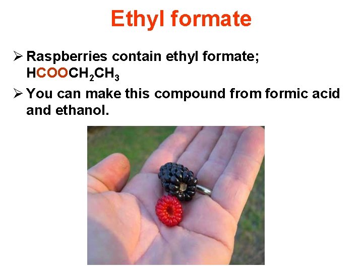 Ethyl formate Ø Raspberries contain ethyl formate; HCOOCH 2 CH 3 Ø You can