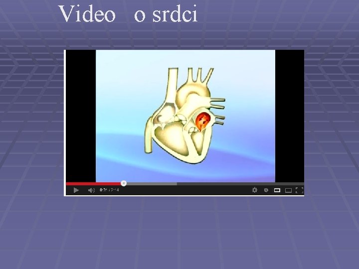 Video o srdci Video o srdci