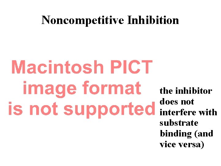 Noncompetitive Inhibition the inhibitor does not interfere with substrate binding (and vice versa) 