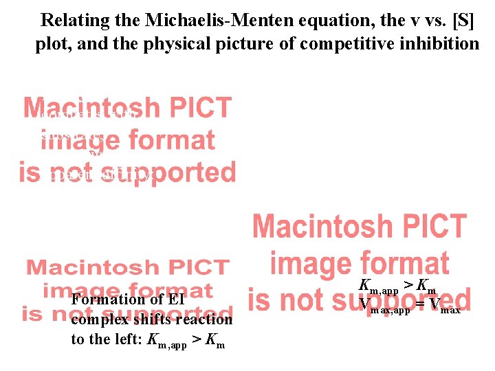 Relating the Michaelis-Menten equation, the v vs. [S] plot, and the physical picture of