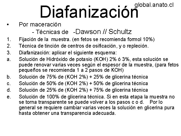 global. anato. cl Diafanización • Por maceración - Técnicas de -Dawson // Schultz 1.