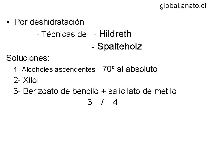Diafanización • Por deshidratación global. anato. cl - Técnicas de - Hildreth - Spalteholz