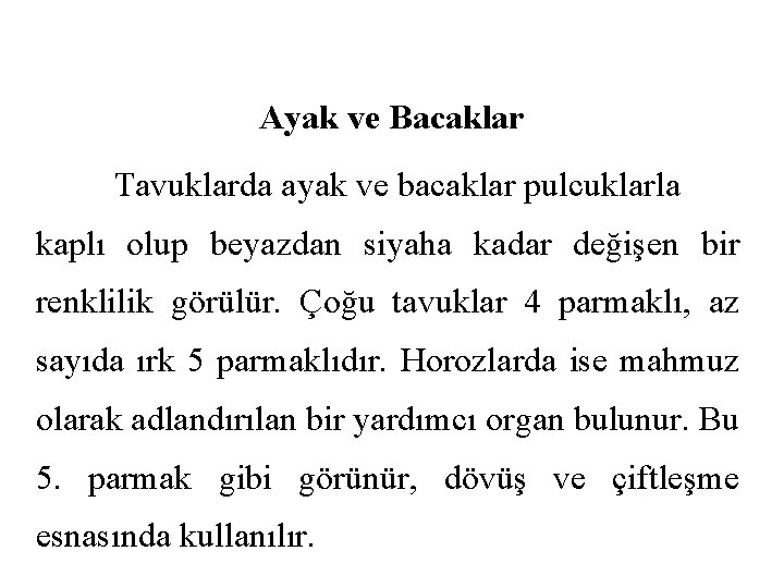 Ayak ve Bacaklar Tavuklarda ayak ve bacaklar pulcuklarla kaplı olup beyazdan siyaha kadar değişen