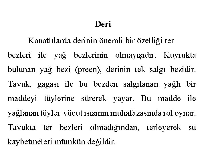Deri Kanatlılarda derinin önemli bir özelliği ter bezleri ile yağ bezlerinin olmayışıdır. Kuyrukta bulunan