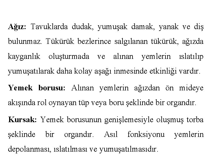 Ağız: Tavuklarda dudak, yumuşak damak, yanak ve diş bulunmaz. Tükürük bezlerince salgılanan tükürük, ağızda