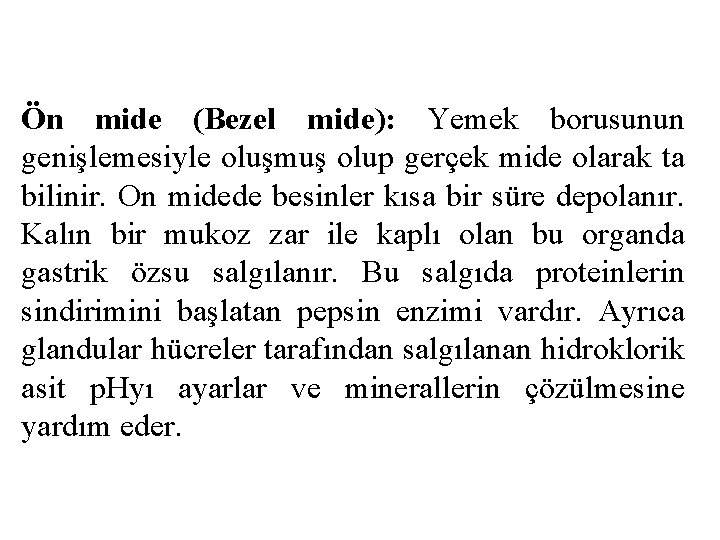 Ön mide (Bezel mide): Yemek borusunun genişlemesiyle oluşmuş olup gerçek mide olarak ta bilinir.