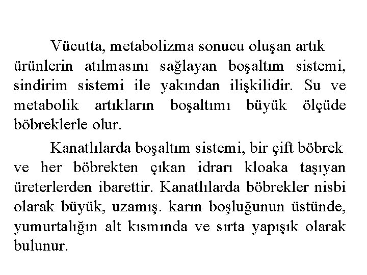 Vücutta, metabolizma sonucu oluşan artık ürünlerin atılmasını sağlayan boşaltım sistemi, sindirim sistemi ile yakından